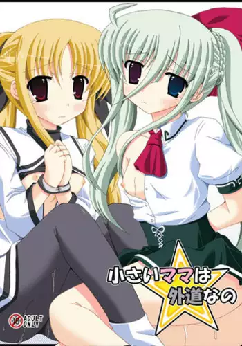 (C82) [Dream Project (Yumeno Shiya)] Chiisai Mama wa Gedou nano (Mahou Shoujo Lyrical Nanoha)