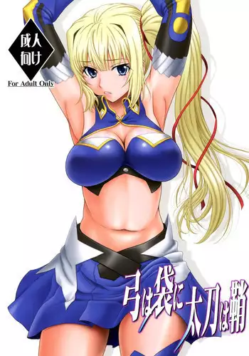 [Oretachi Misnon Ikka (Suhara Shiina)] Yumi wa Fukuro ni Tachi wa Saya (Madan no Ou to Vanadis) [Chinese] [??????]