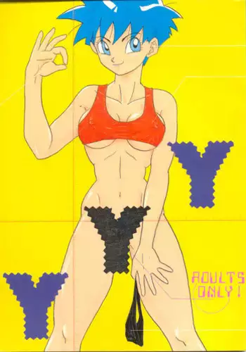 [Chirigami Goya, Fusuma go Ten (Shouji Hariko)] YYY (Dragon Ball)