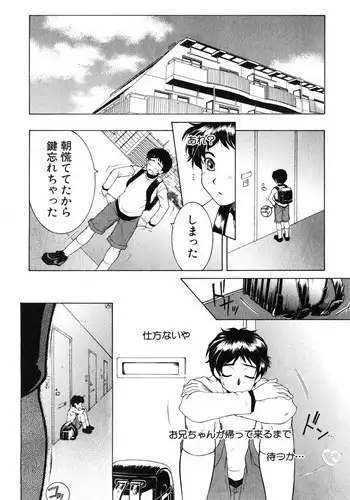 [Yasuhara Tsukasa] Boku no Katei Chijou