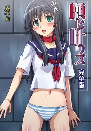 Negai Kanawazu Kanzenban